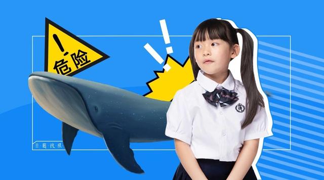 蓝鲸游戏再现缠上12岁女孩如何解救陷入危险的孩子